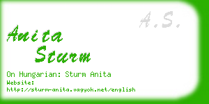 anita sturm business card